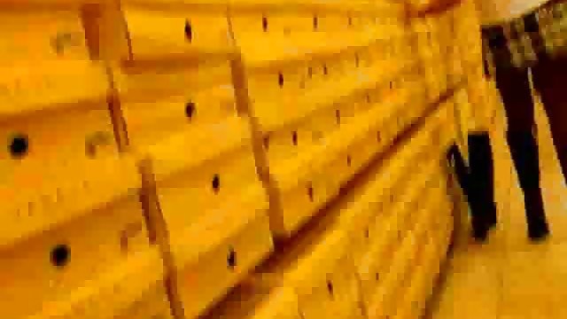 در فیلم سکسی برازرس جدید انبار ، بیدمشک موی دختر روی یک عضو کاشته شد